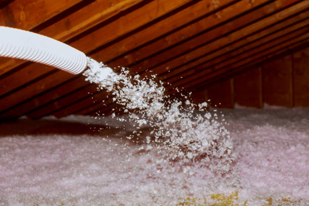Best DIY Insulation Kits and Guidance in Mill City, OR