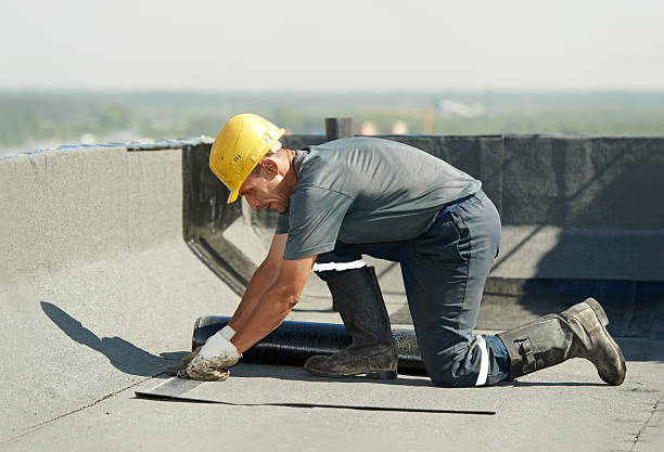 Best Specialized Insulation Services in Mill City, OR