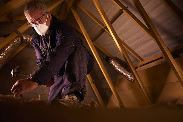 Best Cellulose Insulation in Mill City, OR